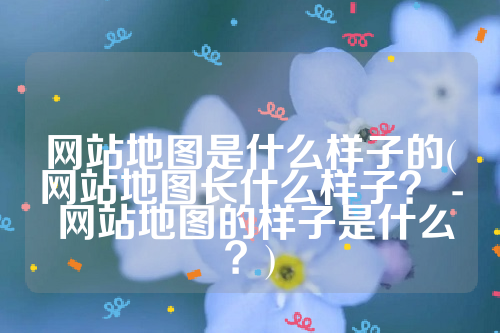 网站地图是什么样子的(网站地图长什么样子？ - 网站地图的样子是什么？)