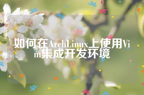 如何在ArchLinux上使用Vim集成开发环境