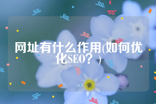 网址有什么作用(如何优化SEO？)