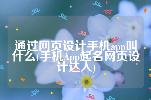 通过网页设计手机app叫什么(手机App起名网页设计达人)