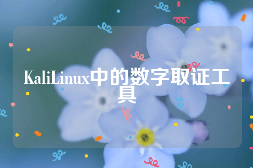 KaliLinux中的数字取证工具