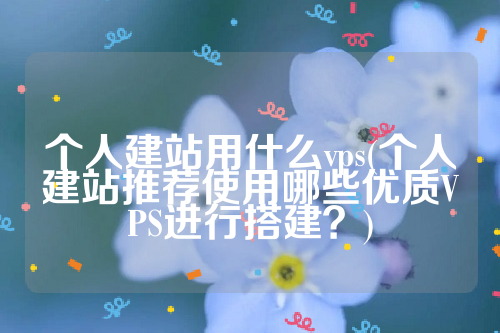 个人建站用什么vps(个人建站推荐使用哪些优质VPS进行搭建？)