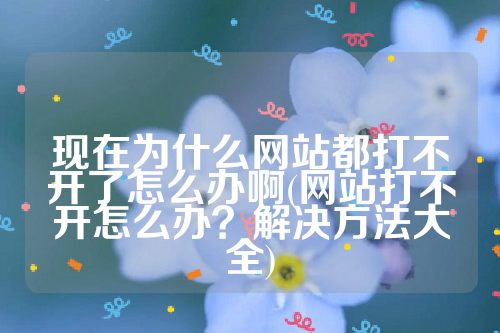 现在为什么网站都打不开了怎么办啊(网站打不开怎么办？解决方法大全)