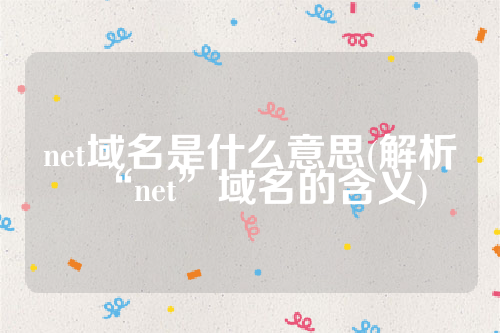 net域名是什么意思(解析“net”域名的含义)