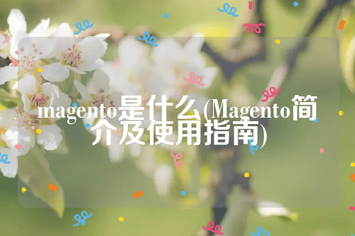 magento是什么(Magento简介及使用指南)