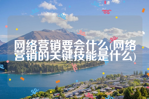 网络营销要会什么(网络营销的关键技能是什么)