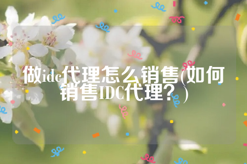 做idc代理怎么销售(如何销售IDC代理？)