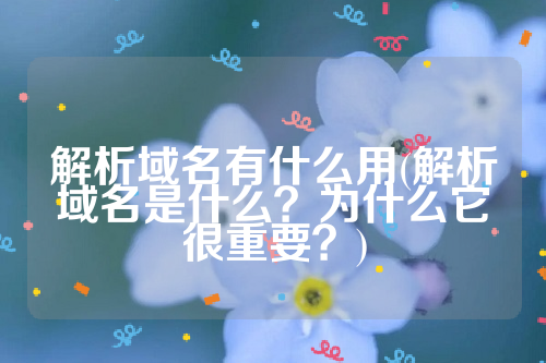 解析域名有什么用(解析域名是什么？为什么它很重要？)