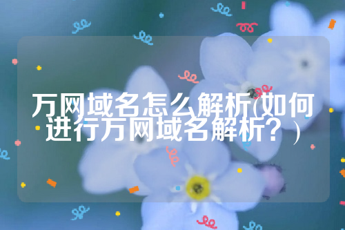 万网域名怎么解析(如何进行万网域名解析？)