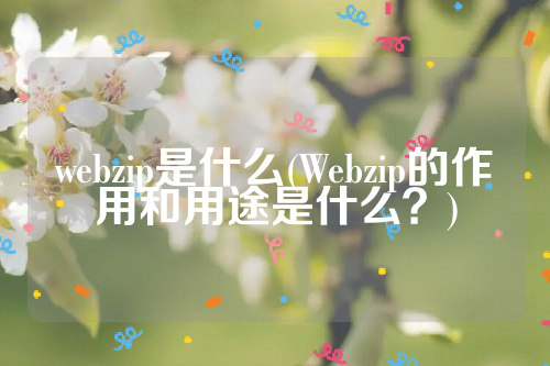 webzip是什么(Webzip的作用和用途是什么？)