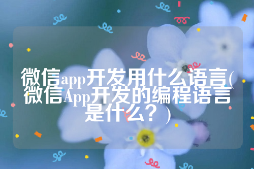 微信app开发用什么语言(微信App开发的编程语言是什么？)