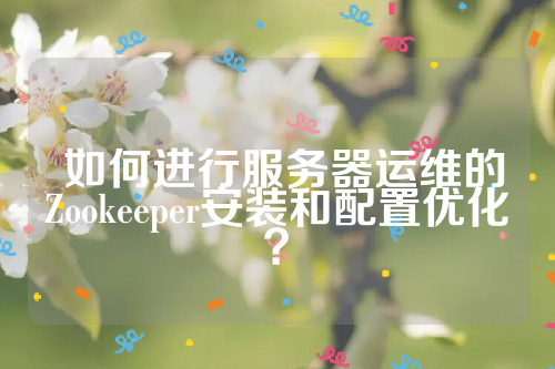  如何进行服务器运维的Zookeeper安装和配置优化？