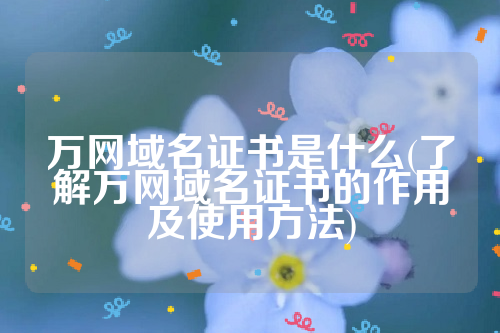 万网域名证书是什么(了解万网域名证书的作用及使用方法)