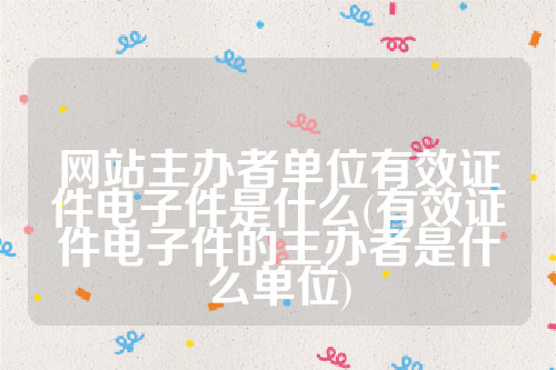 网站主办者单位有效证件电子件是什么(有效证件电子件的主办者是什么单位)