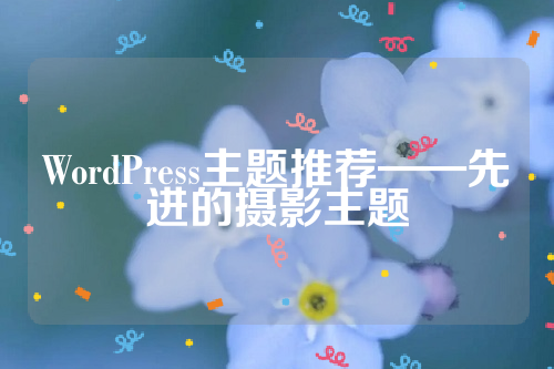 WordPress主题推荐——先进的摄影主题