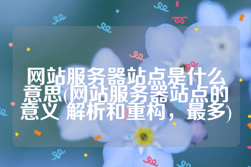 网站服务器站点是什么意思(网站服务器站点的意义 解析和重构，最多)