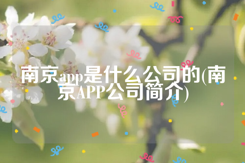 南京app是什么公司的(南京APP公司简介)