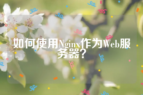 如何使用Nginx作为Web服务器？