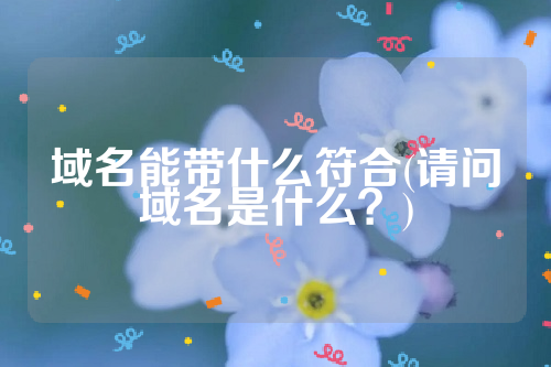 域名能带什么符合(请问域名是什么？)