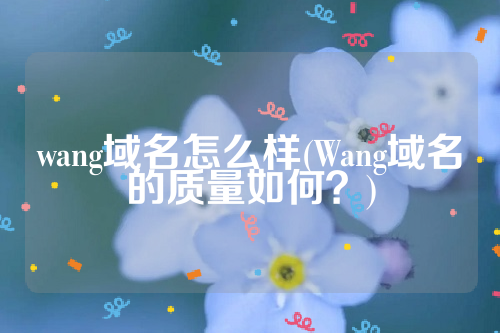 wang域名怎么样(Wang域名的质量如何？)