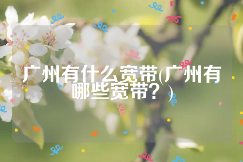 广州有什么宽带(广州有哪些宽带？)