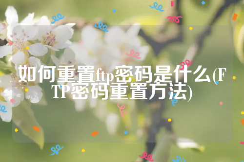 如何重置ftp密码是什么(FTP密码重置方法)