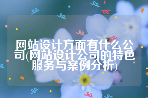 网站设计方面有什么公司(网站设计公司的特色服务与案例分析)