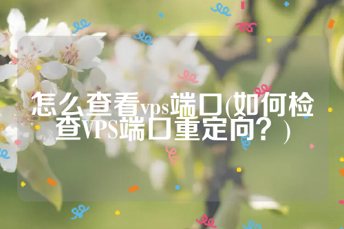 怎么查看vps端口(如何检查VPS端口重定向？)