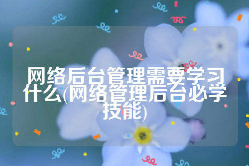 网络后台管理需要学习什么(网络管理后台必学技能)