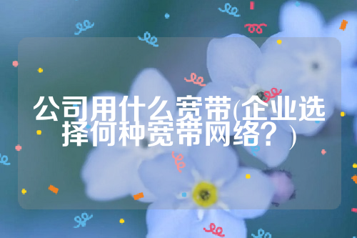 公司用什么宽带(企业选择何种宽带网络？)