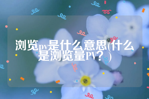 浏览pv是什么意思(什么是浏览量PV？)