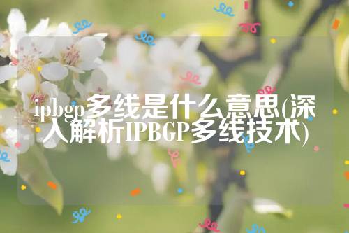 ipbgp多线是什么意思(深入解析IPBGP多线技术)