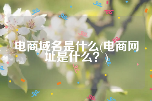 电商域名是什么(电商网址是什么？)