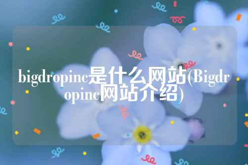 bigdropinc是什么网站(Bigdropinc网站介绍)