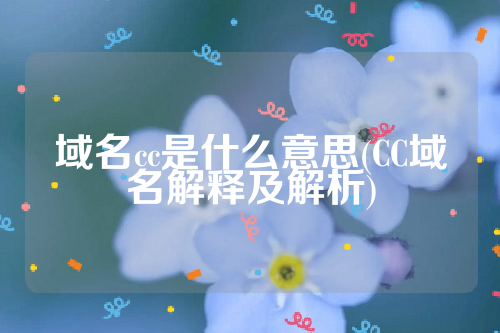 域名cc是什么意思(CC域名解释及解析)