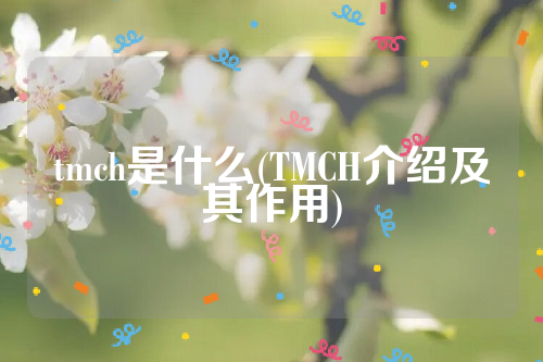 tmch是什么(TMCH介绍及其作用)