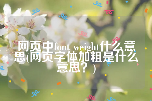 网页中font weight什么意思(网页字体加粗是什么意思？)