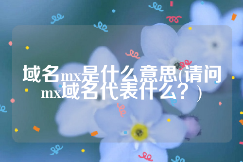 域名mx是什么意思(请问mx域名代表什么？)