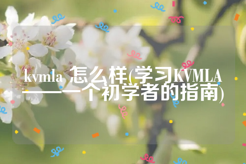 kvmla 怎么样(学习KVMLA——一个初学者的指南)