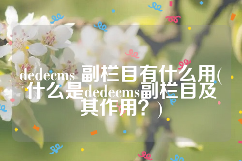 dedecms 副栏目有什么用(什么是dedecms副栏目及其作用？)