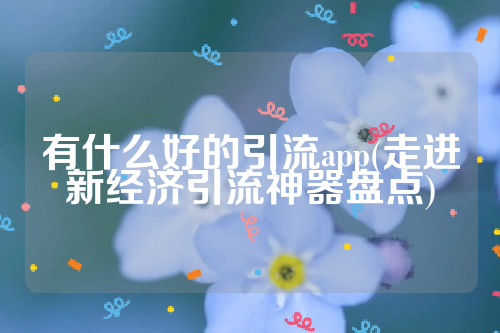 有什么好的引流app(走进新经济引流神器盘点)