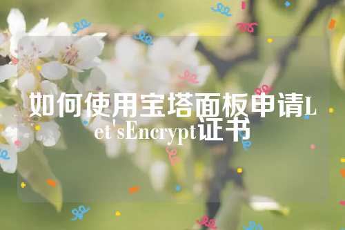 如何使用宝塔面板申请Let'sEncrypt证书