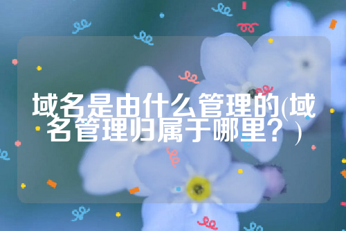 域名是由什么管理的(域名管理归属于哪里？)