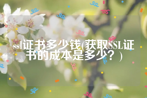 ssl证书多少钱(获取SSL证书的成本是多少？)