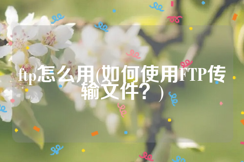 ftp怎么用(如何使用FTP传输文件？)