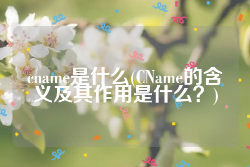 cname是什么(CName的含义及其作用是什么？)