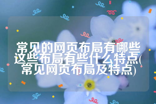 常见的网页布局有哪些这些布局有些什么特点(常见网页布局及特点)