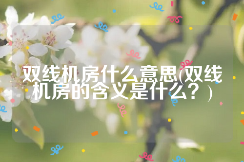 双线机房什么意思(双线机房的含义是什么？)