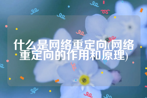 什么是网络重定向(网络重定向的作用和原理)