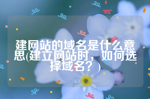 建网站的域名是什么意思(建立网站时，如何选择域名？)